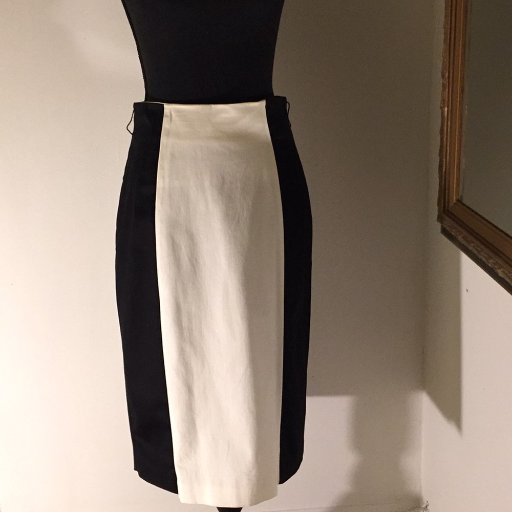 Macy's Skirt